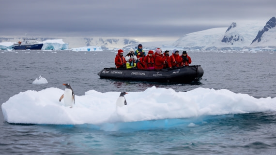 PLA26-26, Day 6, 4Q9A7144.jpg © Unknown Photographer - Oceanwide Expeditions.jpg