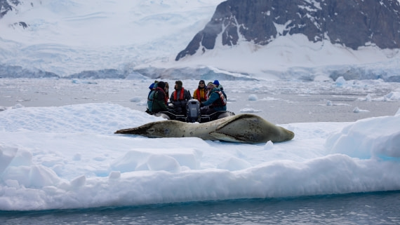 PLA26-26, Day 6, 4Q9A7216.jpg © Unknown Photographer - Oceanwide Expeditions.jpg