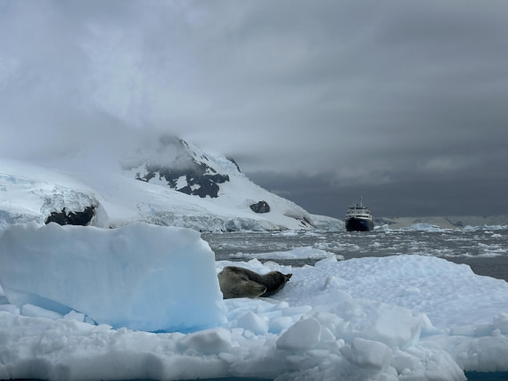 PLA26-26, Day 6, IMG_0649.jpeg © Unknown Photographer - Oceanwide Expeditions.jpeg