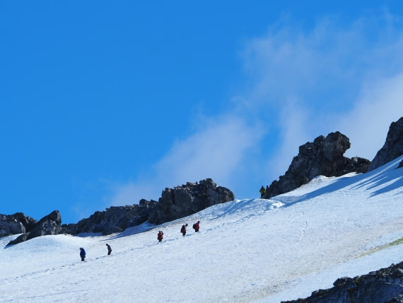 PLA26-26, Day 6, IMG_7864.JPG © Unknown Photographer - Oceanwide Expeditions.JPG