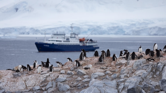 PLA26-26, Day 7, 4Q9A8115.jpg © Unknown Photographer - Oceanwide Expeditions.jpg