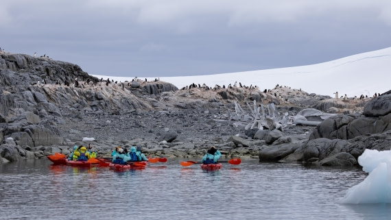 PLA26-26, Day 7, 4Q9A9390.jpg © Unknown Photographer - Oceanwide Expeditions.jpg