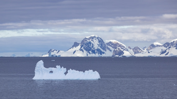 PLA26-26, Day 7, 4Q9A9548.jpg © Unknown Photographer - Oceanwide Expeditions.jpg