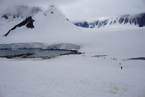 PLA26-26, Day 7, DSC08657.JPG © Unknown Photographer - Oceanwide Expeditions.JPG