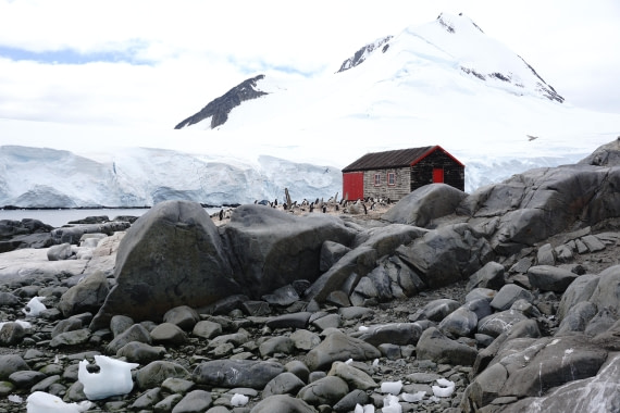 PLA26-26, Day 7, DSC08674.JPG © Unknown Photographer - Oceanwide Expeditions.JPG