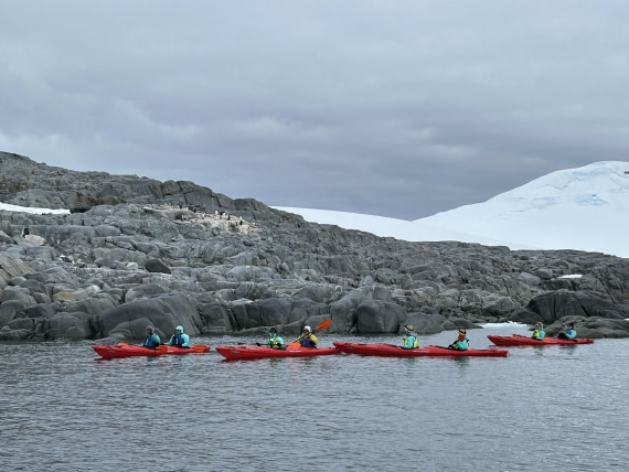 PLA26-26, Day 7, IMG_0703 2.jpeg © Unknown Photographer - Oceanwide Expeditions.jpeg
