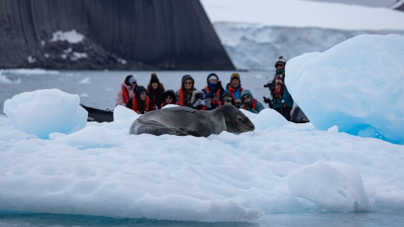 PLA26-26, Day 8, 4Q9A0209.jpg © Unknown Photographer - Oceanwide Expeditions.jpg