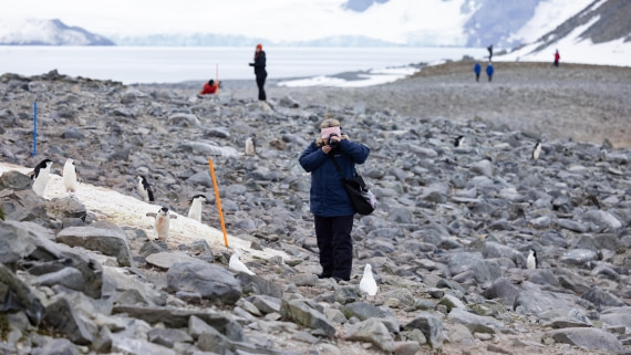 PLA26-26, Day 8, 4Q9A9766.jpg © Unknown Photographer - Oceanwide Expeditions.jpg