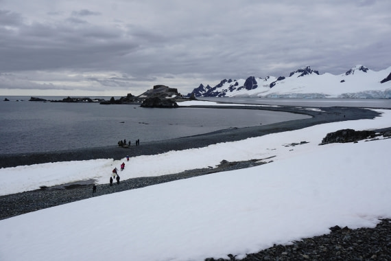 PLA26-26, Day 8, DSC08748.JPG © Unknown Photographer - Oceanwide Expeditions.JPG