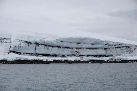 PLA26-26, Day 8, DSC08779.JPG © Unknown Photographer - Oceanwide Expeditions.JPG