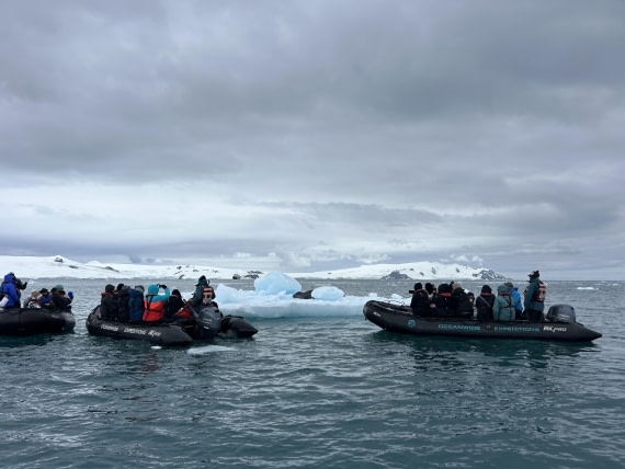 PLA26-26, Day 8, IMG_0784 2.jpeg © Unknown Photographer - Oceanwide Expeditions.jpeg