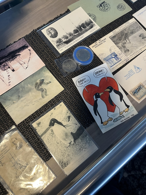 PLA26-26, Day 9, IMG_7989 3.jpeg © Unknown Photographer - Oceanwide Expeditions.jpeg