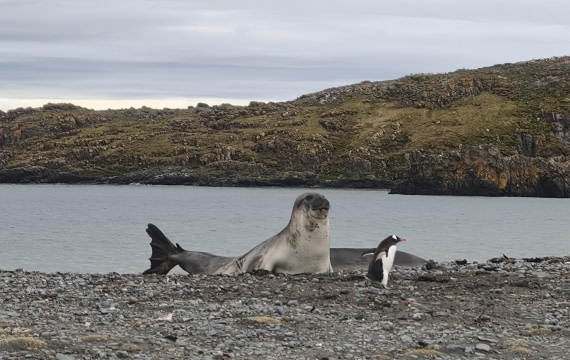 Catch me if you can 🤭