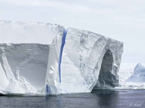 Day 13: In the Pack Ice