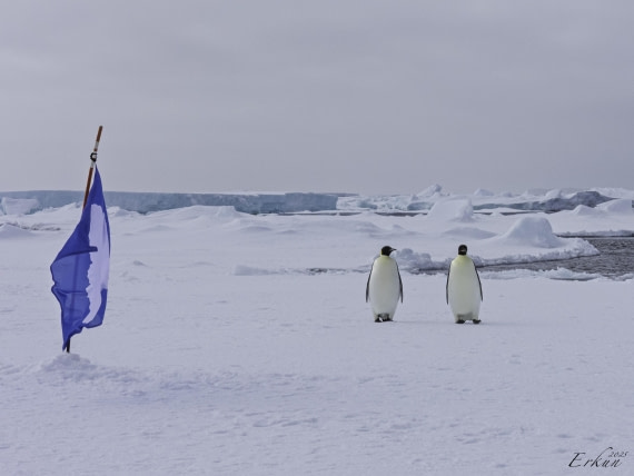 Day 22: Weddell Sea Ice Floe Landing