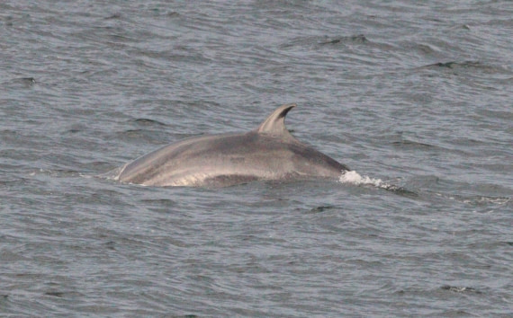 HDS27-26, Day 1, IMG_8559 © Unknown photographer - Oceanwide Expeditions.JPG