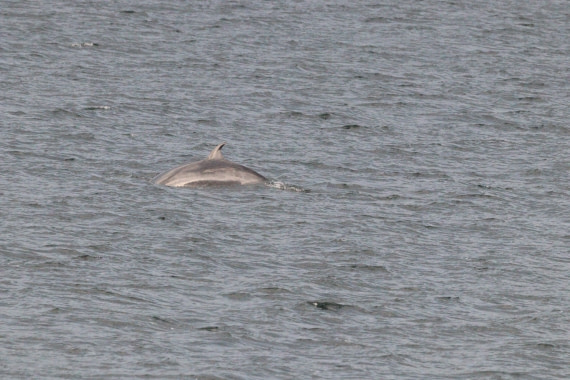 HDS27-26, Day 1, IMG_8560 © Unknown photographer - Oceanwide Expeditions.JPG