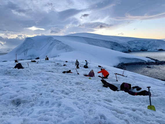 HDS27-26, Day 4, IMG_1955 © Unknown photographer - Oceanwide Expeditions.jpg