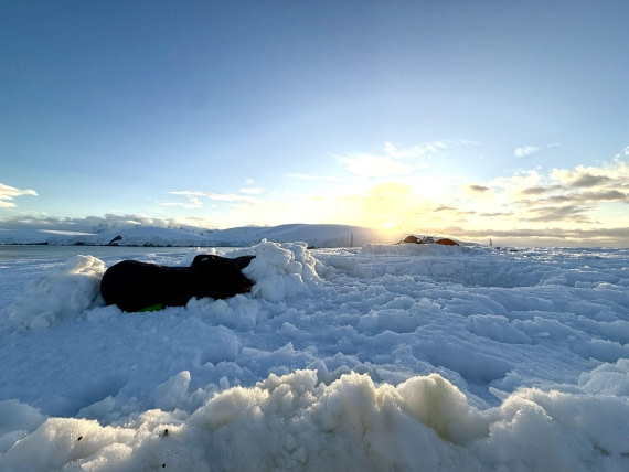 HDS27-26, Day 4, IMG_1969 © Unknown photographer - Oceanwide Expeditions.jpg