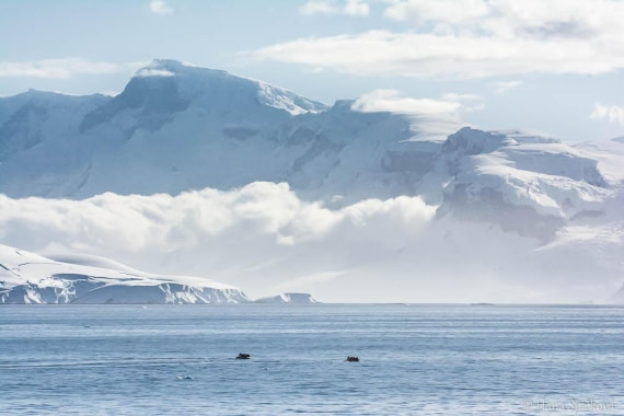 HDS27-26, Day 5, _DSC9176 Hana (8) © Hana Spickova - Oceanwide Expeditions.jpg