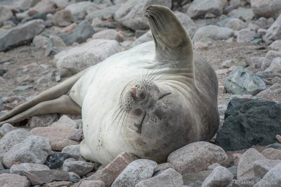 HDS27-26, Day 5, _DSC9248 Hana (7) © Hana Spickova - Oceanwide Expeditions.jpg
