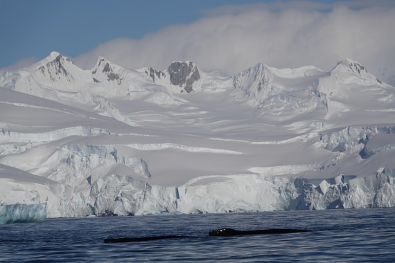 HDS27-26, Day 5, DSC04432 © Unknown photographer - Oceanwide Expeditions.JPG