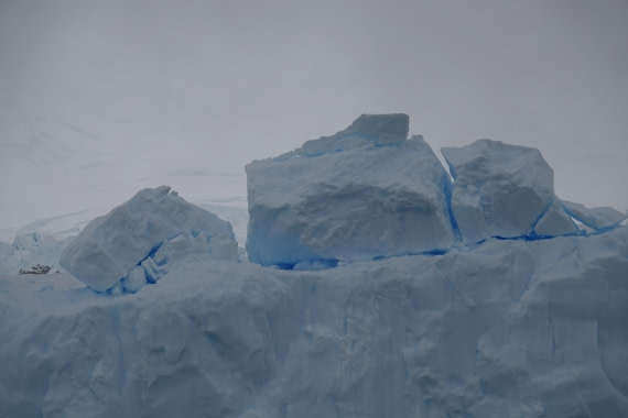 HDS27-26, Day 5, DSC04466 © Unknown photographer - Oceanwide Expeditions.JPG