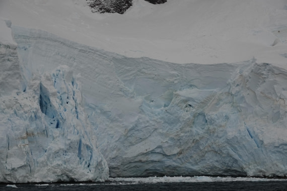HDS27-26, Day 6, DSC04470 © Unknown photographer - Oceanwide Expeditions.JPG