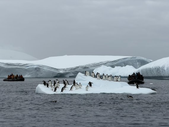 HDS27-26, Day 6, IMG_1565 © Unknown photographer - Oceanwide Expeditions.jpg