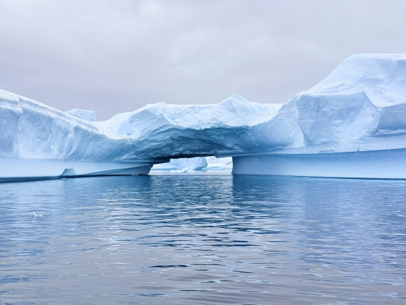 HDS27-26, Day 6, IMG_2001_Hana_(8) © Hana Spickova - Oceanwide Expeditions.jpg