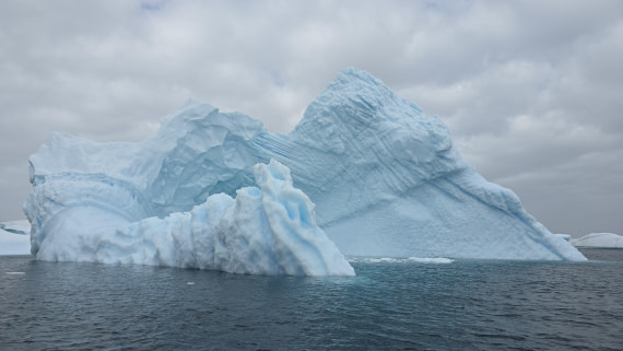 HDS27-26, Day 6, Jodi-20260123_101410 © Jodi Gaylord - Oceanwide Expeditions.jpg