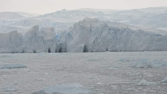 HDS27-26, Day 6, Jodi-20260123_203735 © Jodi Gaylord - Oceanwide Expeditions.jpg