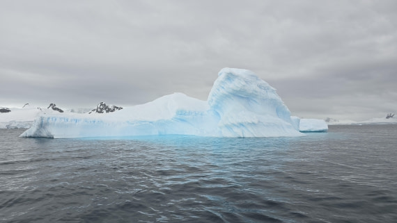 HDS27-26, Day 7, 20260124_103622-Jodi © Jodi Gaylord - Oceanwide Expeditions.jpg