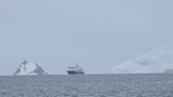 HDS27-26, Day 7, 20260124_104538-Jodi © Jodi Gaylord - Oceanwide Expeditions.jpg