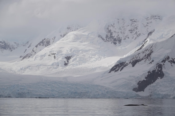 HDS27-26, Day 7, DSC04509 © Unknown photographer - Oceanwide Expeditions.JPG