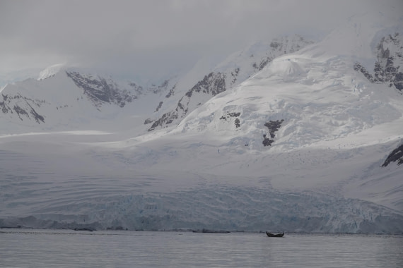 HDS27-26, Day 7, DSC04514 © Unknown photographer - Oceanwide Expeditions.JPG
