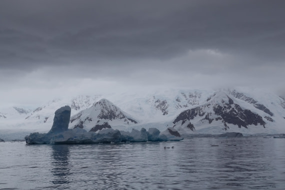 HDS27-26, Day 7, DSC04524 © Unknown photographer - Oceanwide Expeditions.JPG