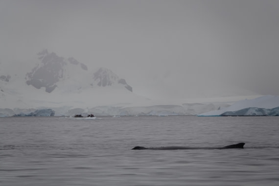 HDS27-26, Day 7, DSC04528 © Unknown photographer - Oceanwide Expeditions.JPG