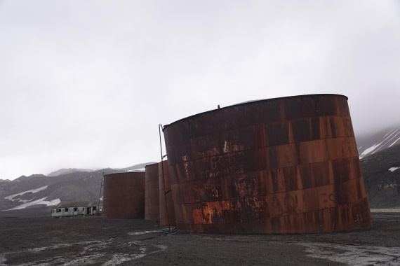 HDS27-26, Day 8, DSC04568 © Unknown photographer - Oceanwide Expeditions.JPG