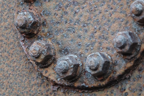 HDS27-26, Day 8, DSC04570 © Unknown photographer - Oceanwide Expeditions.JPG