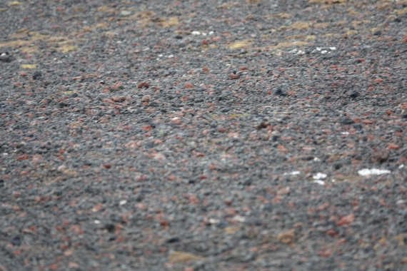 HDS27-26, Day 8, DSC04608 © Unknown photographer - Oceanwide Expeditions.JPG