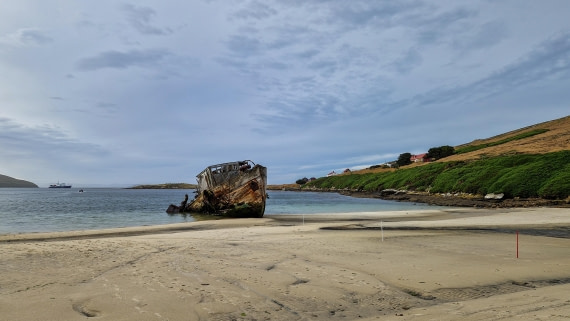 PLA27-26, Day 3, 20260121_074534.jpg © Unknown Photographer - Oceanwide Expeditions.jpg