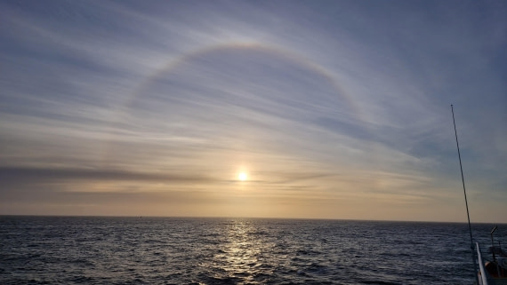 PLA27-26, Day 4, 20260122_195528.jpg © Unknown Photographer - Oceanwide Expeditions.jpg