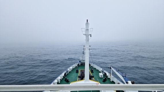 PLA27-26, Day 6, 20260124_090810.jpg © Unknown Photographer - Oceanwide Expeditions.jpg