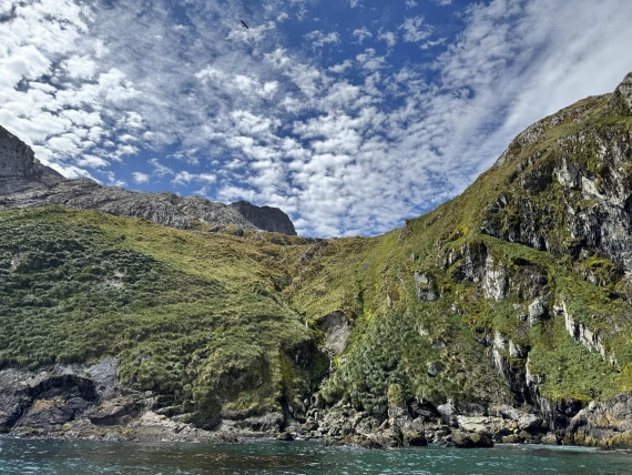 PLA27-26, Day 7, IMG_0608.JPG © Unknown Photographer - Oceanwide Expeditions.JPG