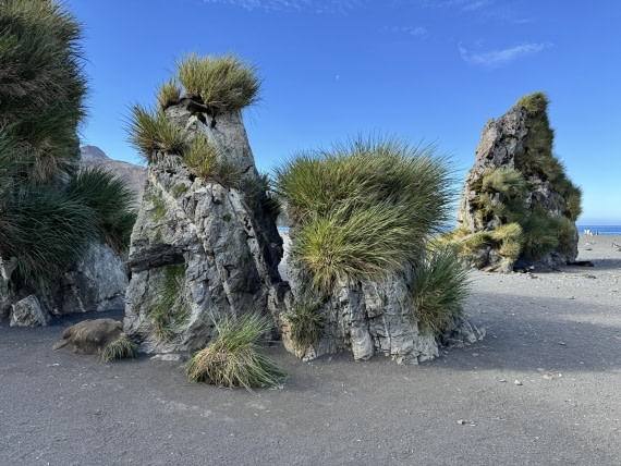 PLA27-26, Day 7, IMG_0664.JPG © Unknown Photographer - Oceanwide Expeditions.JPG