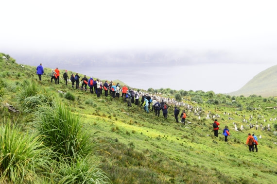 PLA27-26, Day 9, _DSC0252.JPG © Unknown Photographer - Oceanwide Expeditions.JPG
