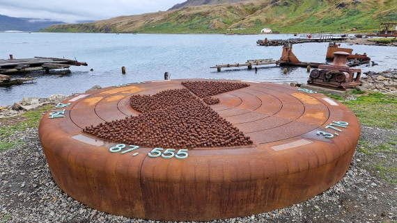 PLA27-26, Day 9, 20260127_153358.jpg © Unknown Photographer - Oceanwide Expeditions.jpg