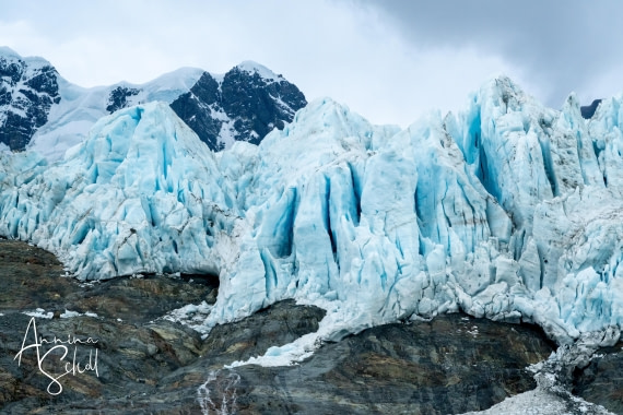 PLA27-26, Day 10, DSC04743.jpg © Annina Scholl - Oceanwide Expeditions.jpg