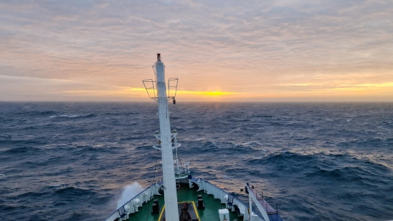 PLA27-26, Day 11, 20260129_203506.jpg © Unknown Photographer - Oceanwide Expeditions.jpg